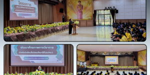 โครงการพัฒนาศักยภาพทางวิชาการ