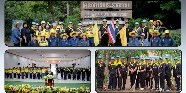 ภาพเว็บไซต์ 911